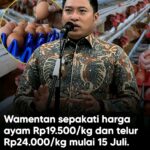 Pemerintah Tetapkan Harga Acuan Baru Ayam dan Telur Mulai 15 Juli 2026, Peternak Diharapkan Lebih Sejahtera