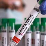 Uni Eropa Nilai Risiko Wabah Hantavirus Andes bagi Warga Eropa Sangat Rendah