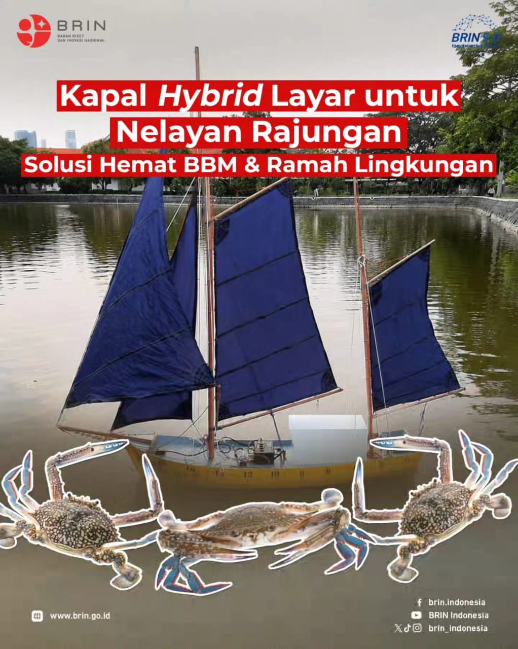 IMG-20260715-WA0055