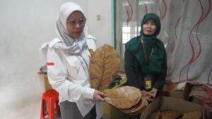 IMG-20260717-WA0099
