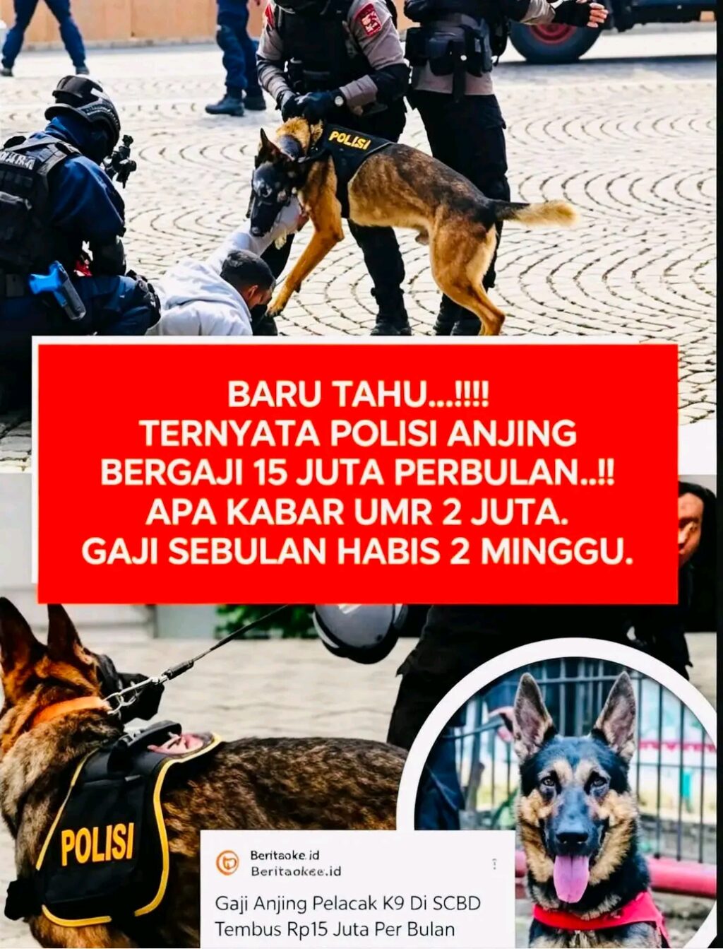 1785931230890