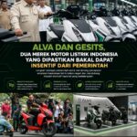 Kalimantan Diselimuti Asap, Titik Panas Meluas: Warga dan Satwa Terancam Dampak Karhutla