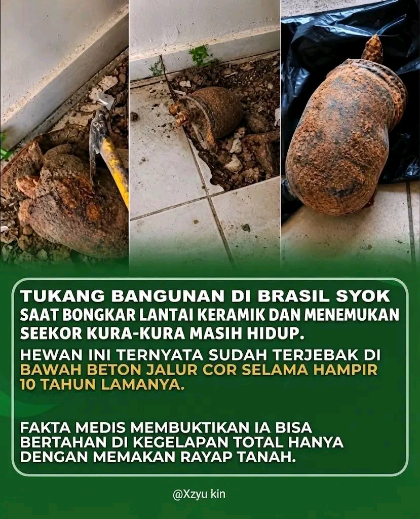 1787255065427